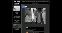 Desktop Screenshot of bulle-de-passion.vip-blog.com