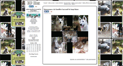 Desktop Screenshot of le-loup-blanc.vip-blog.com