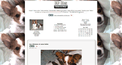 Desktop Screenshot of chienpapillon.vip-blog.com